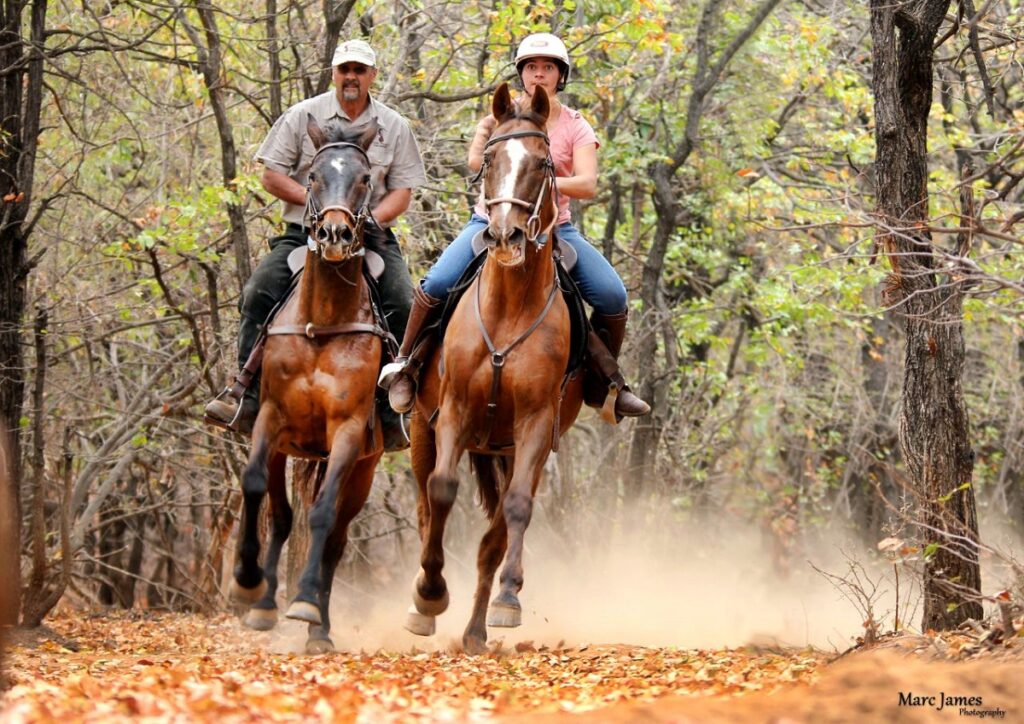 Unbridling at the Franschhoek literary festival